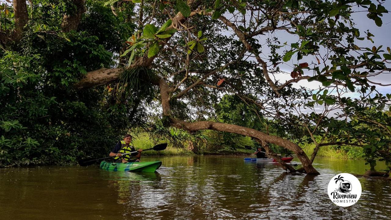 Riverview Homestay Perlis Kangar Buitenkant foto